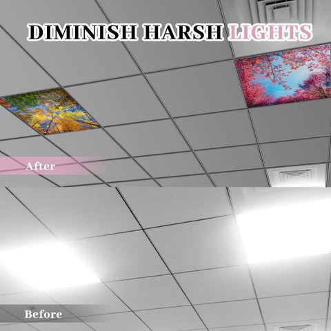 VIHOSE floral-pattern light cover enhances classroom decor and focus