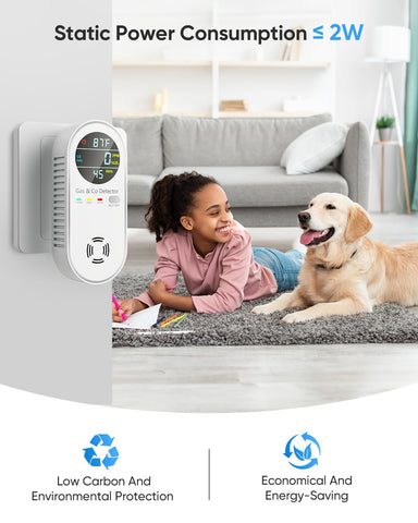 Vilfet dual alarms provide audible and visual alerts for gas safety.