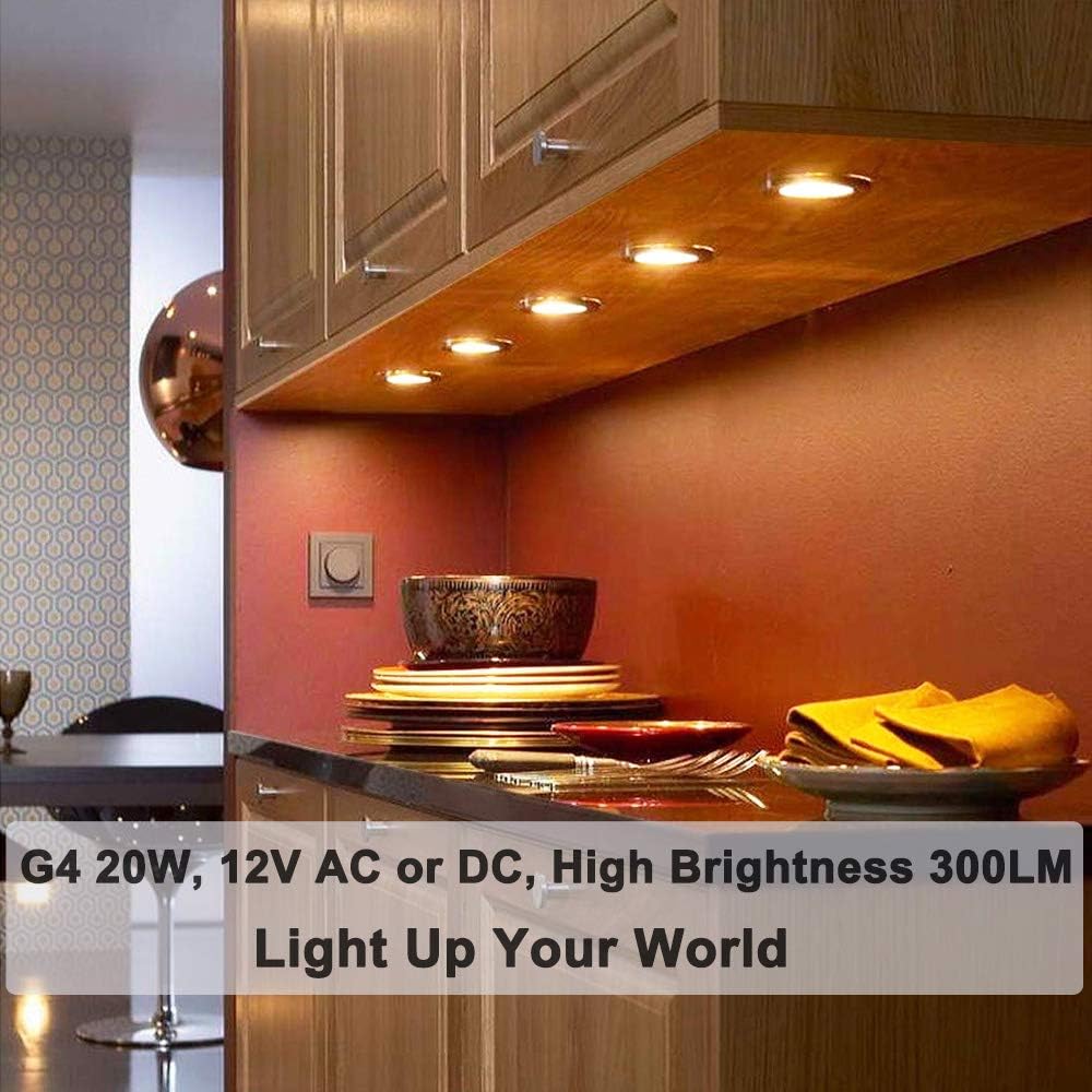 Vinaco G4 bulb 12V CRI100 renders colors accurately.