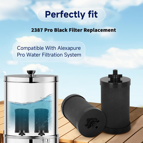 Virego 2387 Pro filter back view shows two-pack packaging for replacement.
