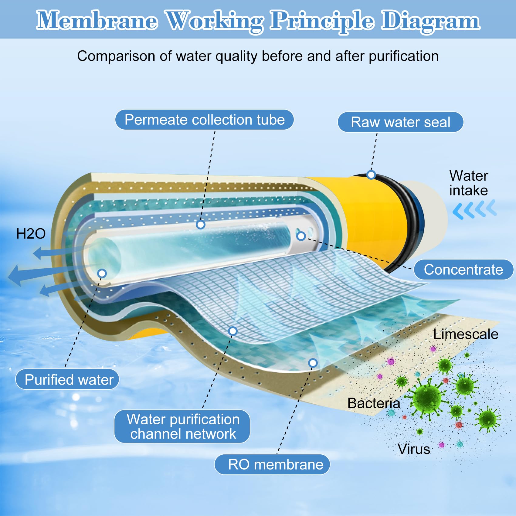 Dry-packaged XLE-4040 membrane ready for quick startup in commercial systems