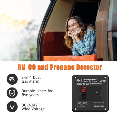 VITITE RV CO/LP detector digital display shows real-time levels.