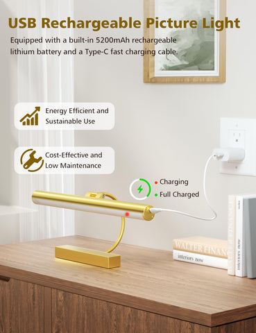 Volisun battery-operated picture light powered by a long-lasting 5200mAh battery.