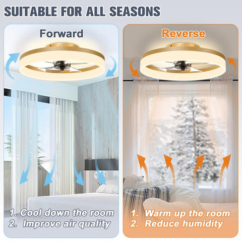Volisun smart app and memory let you save preferred light and fan settings.