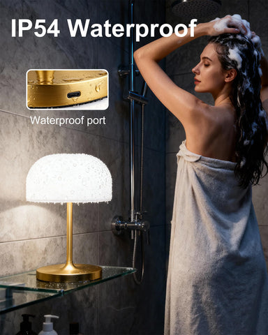 VoMii 9-inch lamp with 4000mAh battery for cordless operation