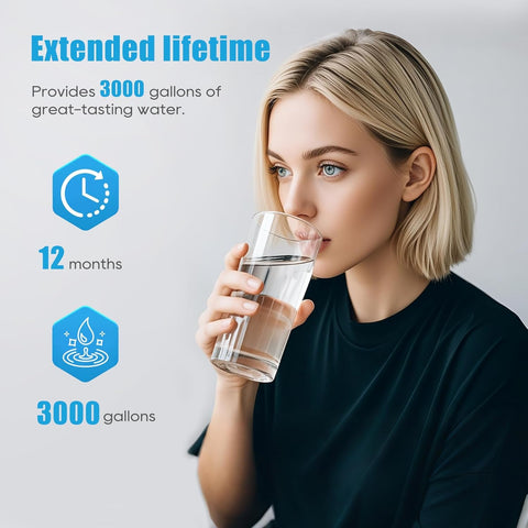 Vorynne 51300 odor and taste improvement concept with user-friendly filtration