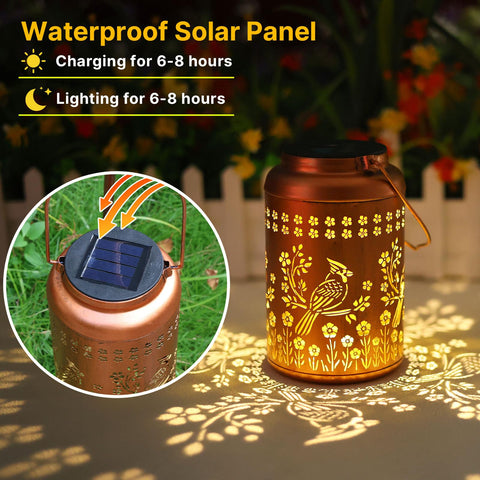 WACLSTDAY Advanced solar panel powers long-lasting light at dusk.