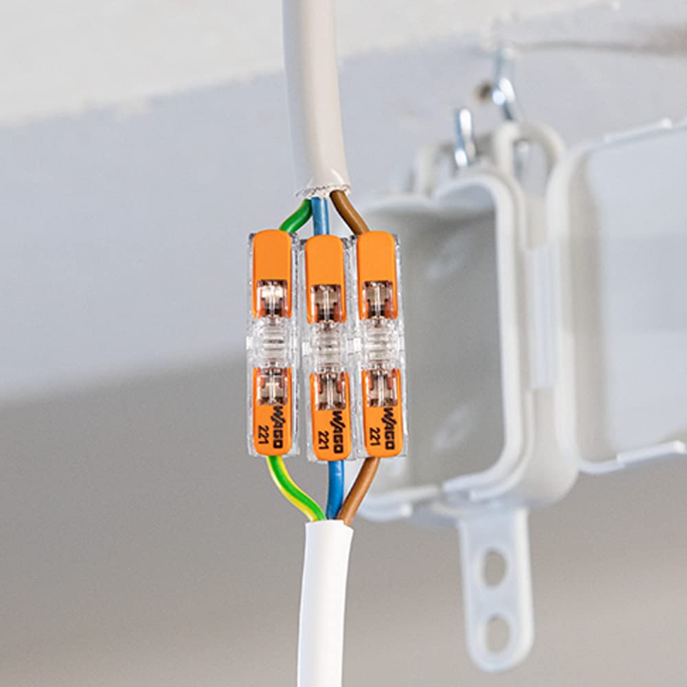 WAGO 221-2411 60-piece packaging ideal for projects and replacements