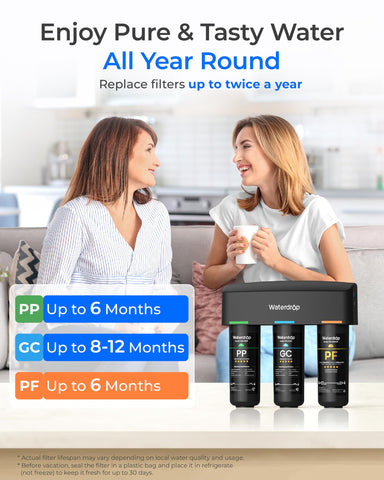 Waterdrop TSB-PF filter life spans range from 6 to 12 months depending on use.
