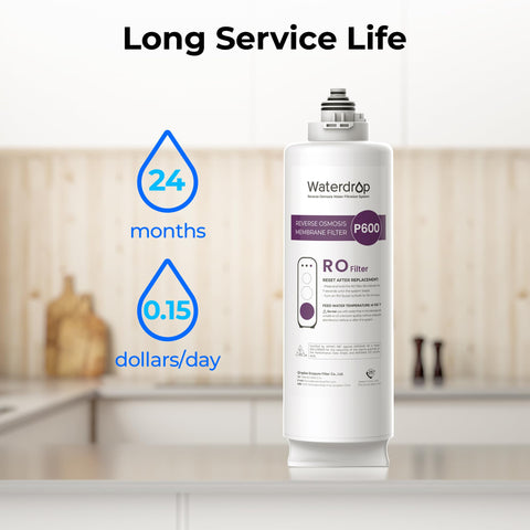 Waterdrop WD-G3P600-RO longevity indication for two years of use