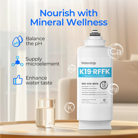 Waterdrop WD-K19RF-FK filter with a 12-month lifespan explained.