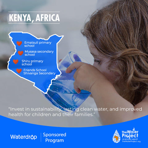 Waterdrop WD-MNR35 fridge connection option for mineral-rich chilled water