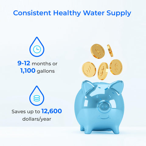 Waterdrop WD-MNR35 long-life filter lasts 9-12 months or 1100 gallons.