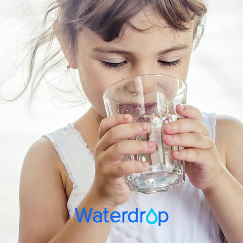 Wide compatibility with various Waterdrop pitcher and dispenser models.
