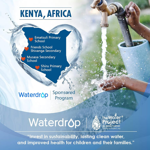 Waterdrop white 2-pack packaging shown for replacement filters