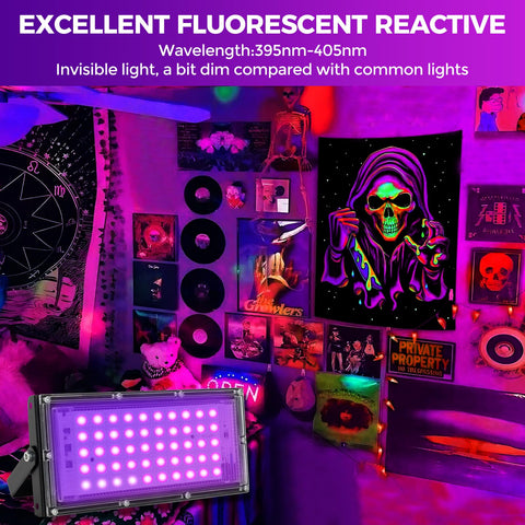 Waygor IP65 waterproof black light lens ensures durable indoor use in damp spaces