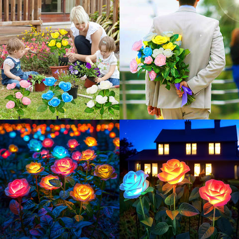 WdtPro gift-ready packaging makes rose lights a thoughtful present