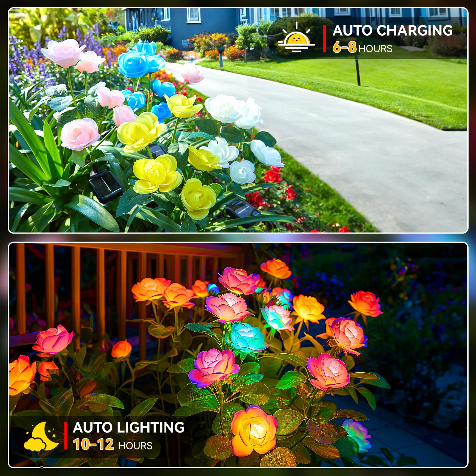 WdtPro rose bloom lights along garden path create a romantic evening ambiance