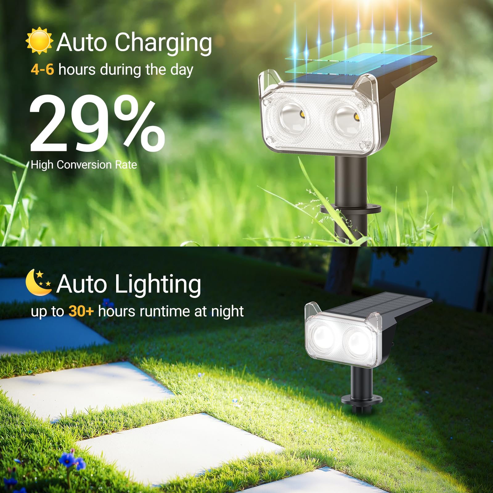 WdtPro tree spotlight highlighting a landscape feature