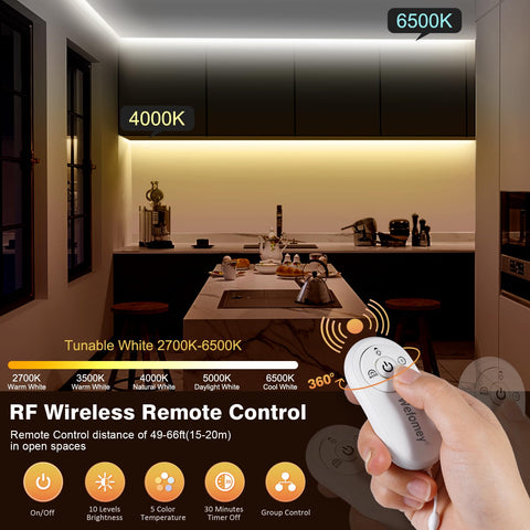 Wefomey COB LED strip light with remote control for dimming