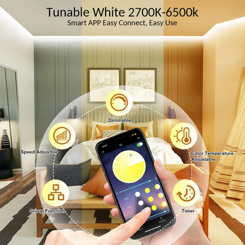 Wefomey LED strip remote and app control for easy adjustments