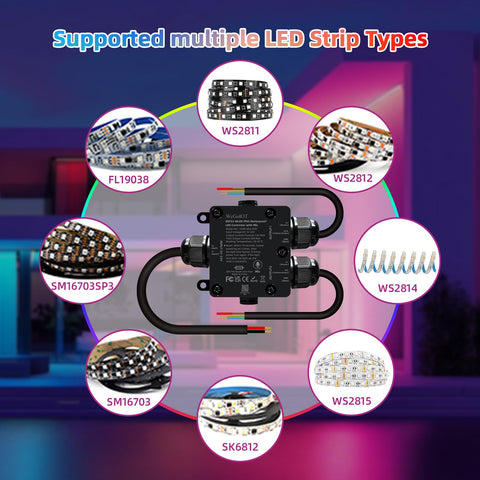 WeGoIOT WS2812B compatibility support