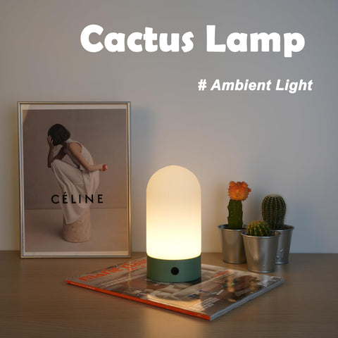 WEILAILUX touch dimmable lamp demonstrating smooth brightness control.