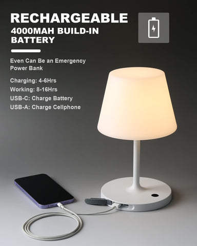 WEILAILUX USB-C charging with USB-A port for emergencies