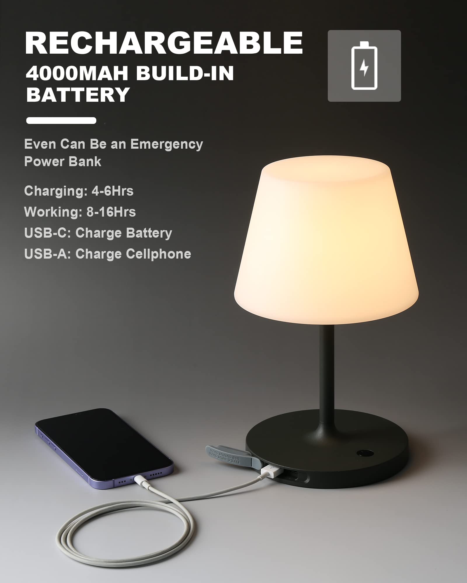 WEILAILUX 1 kg weight ensures stable placement in wind