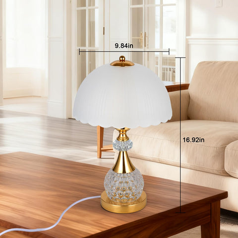 WELAISA gift-ready desk lamp in elegant packaging for special occasions