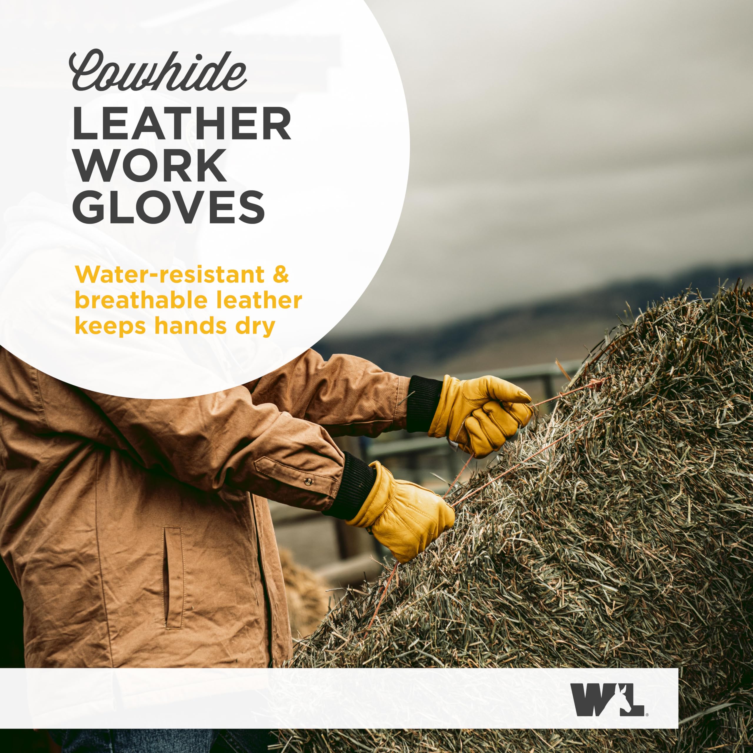 Wells Lamont HydraHyde gloves — warmth from 3M Thinsulate for cold conditions.