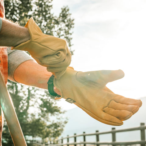 Wells Lamont keystone thumb detail on deerskin glove enhances comfort