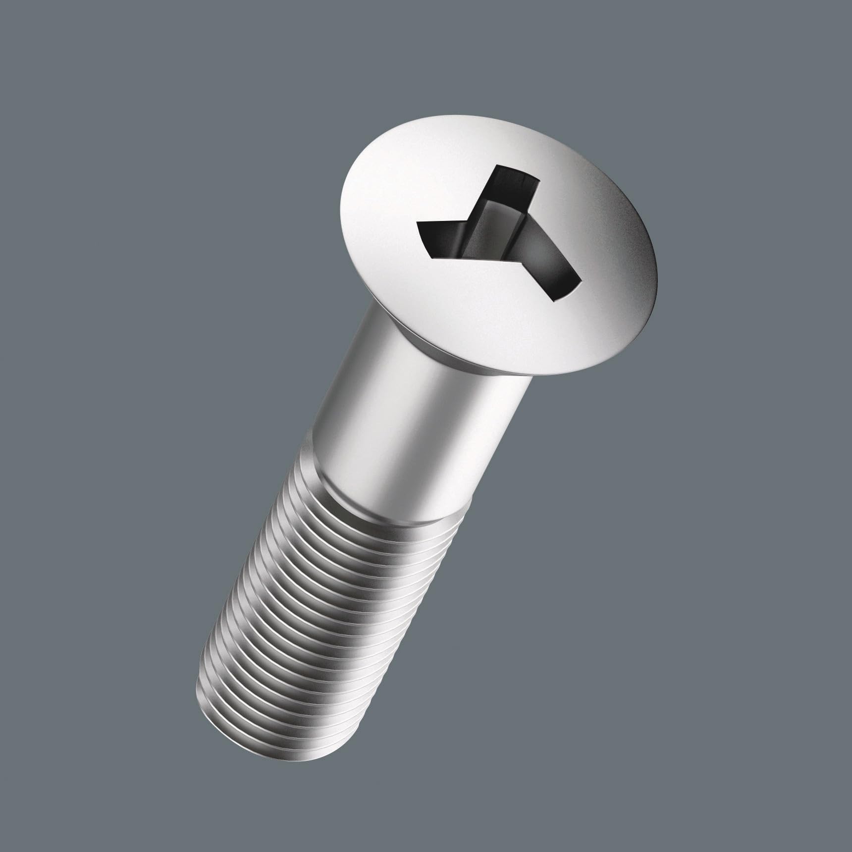 Wera Torx bits TX8–TX40 for high-torque applications.