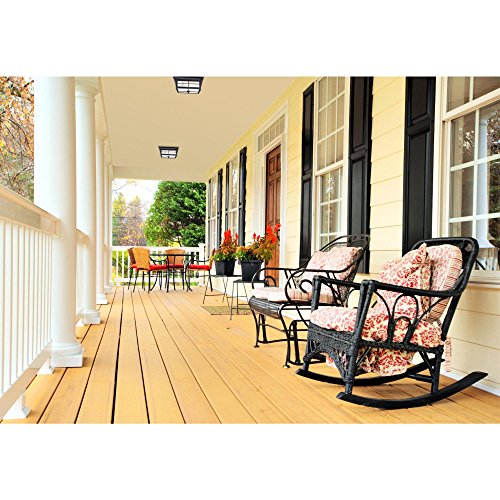 Westinghouse Orwell flush-mount outdoor light for streamlined porch look.