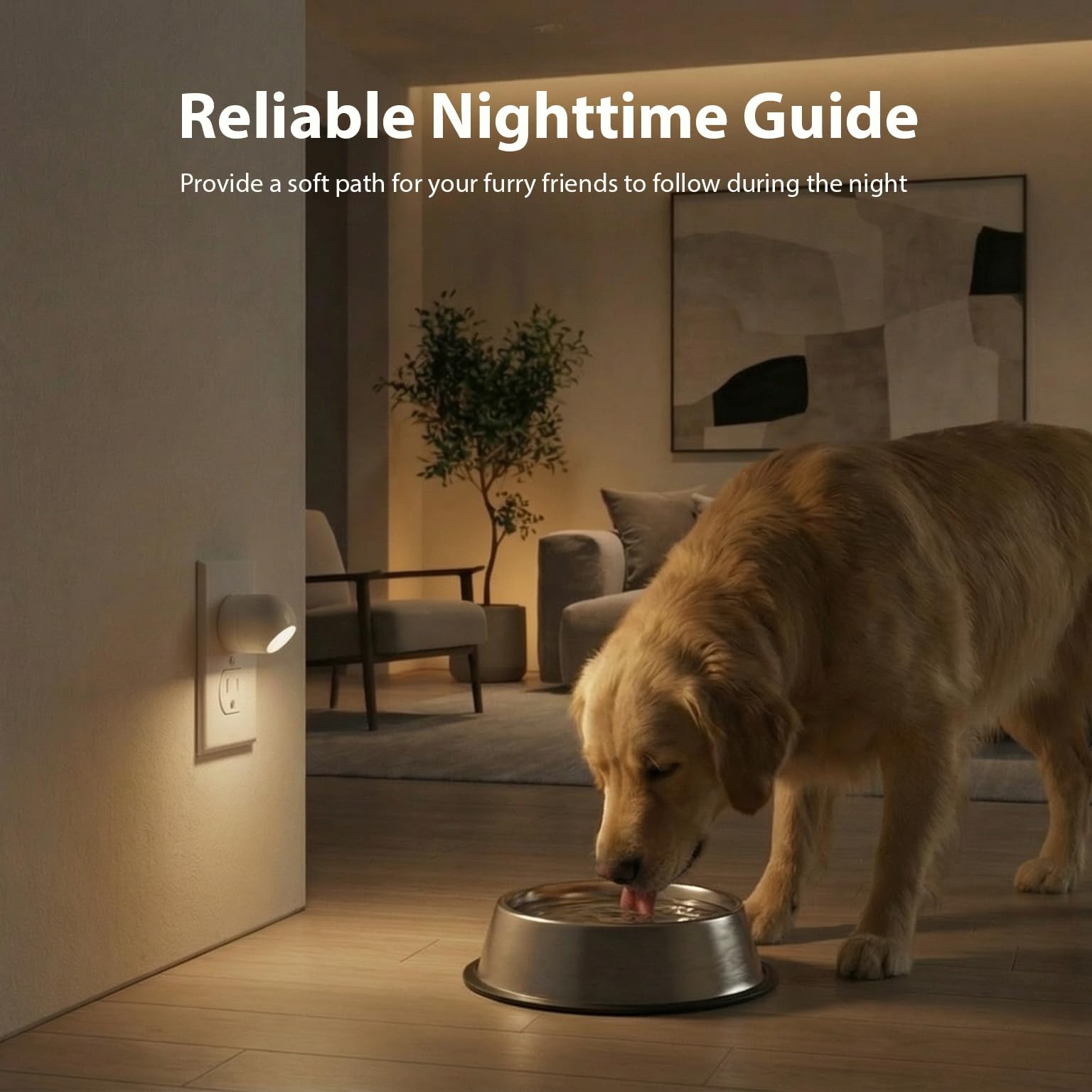 WhilsTec hallway light provides gentle glow for safe navigation.