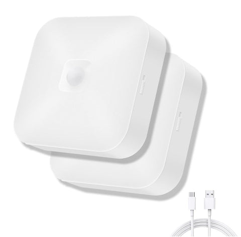 WhitePoplar motion sensor ceiling light provides hands-free lighting for hallways