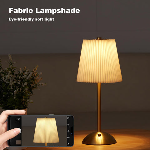 Widfous 3-color dimmable control offers warm to bright task lighting.