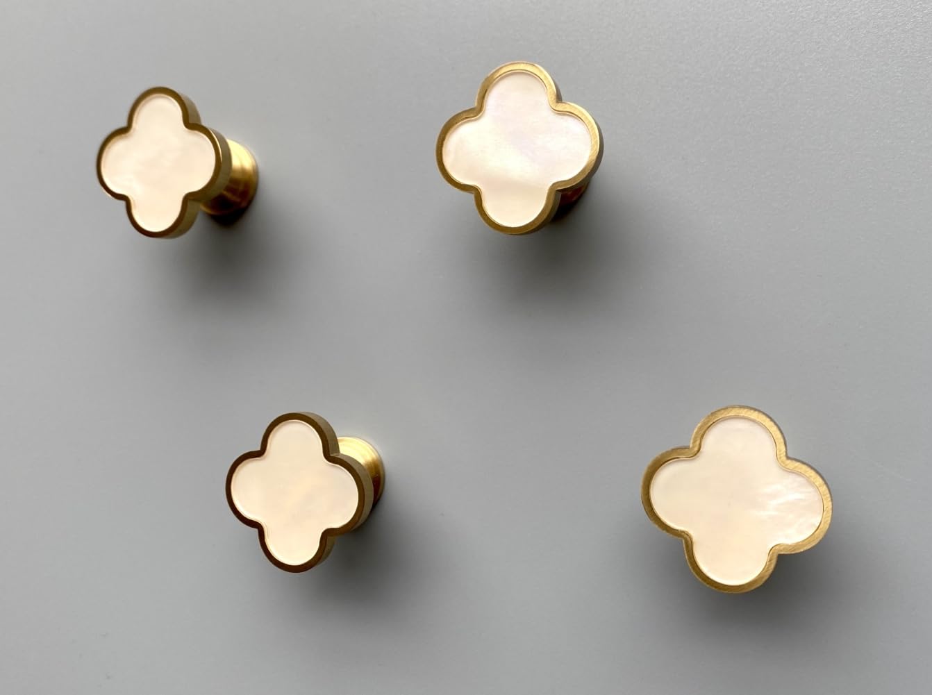 WIN CHAMP solid brass wall hook seashell white four-pack for neat entryways