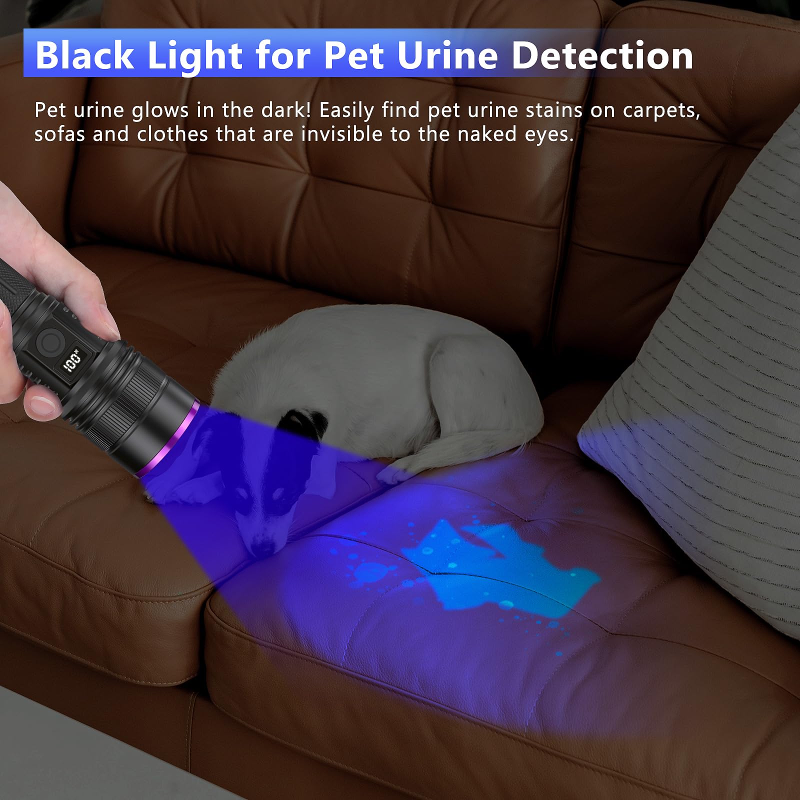 WINDFIRE UV light for pet urine detection with high contrast on surfaces.