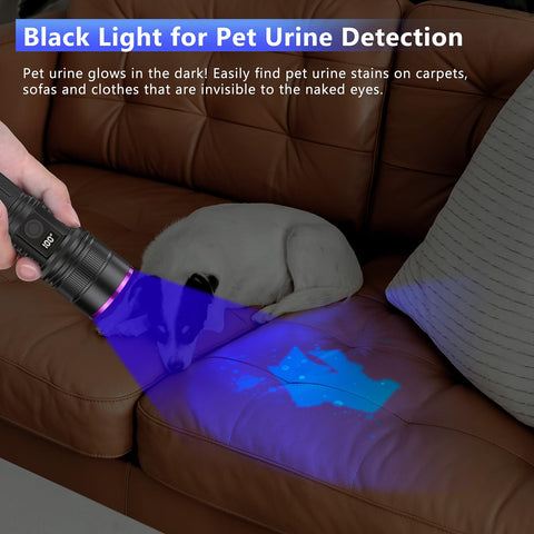 WINDFIRE UV light for pet urine detection with high contrast on surfaces.