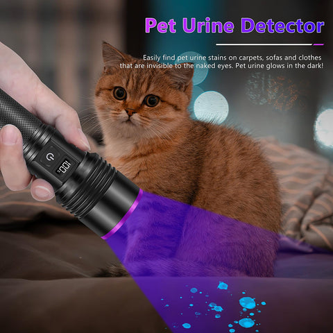 WINDFIRE USB-C rechargeable UV light with LCD display shows battery status.