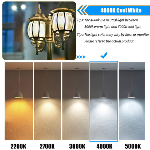 WinsaLED E26 base dimmable bulbs suitable for dimmer-controlled rooms.