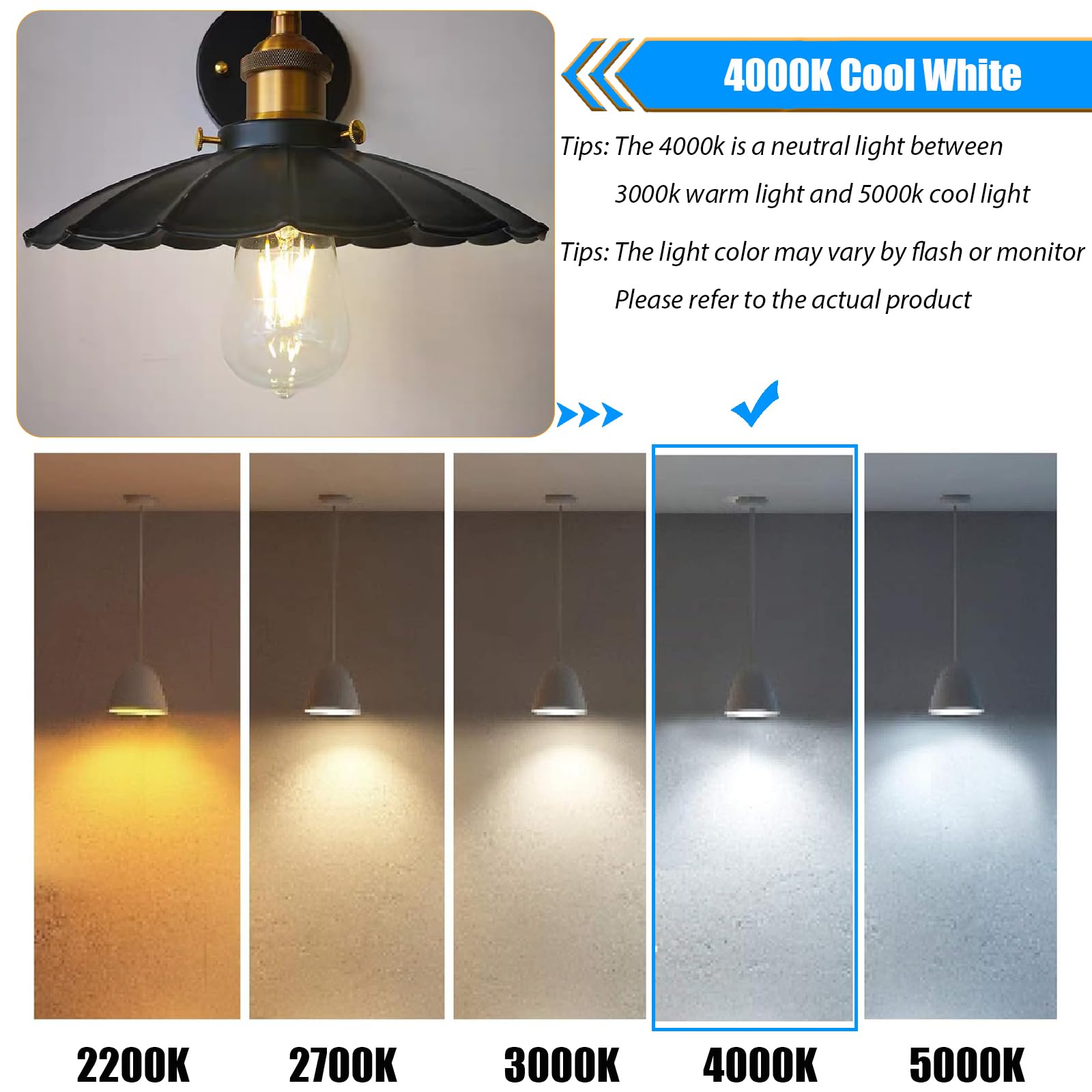 winsaLED E26 base ST58 bulb compatible with most fixtures
