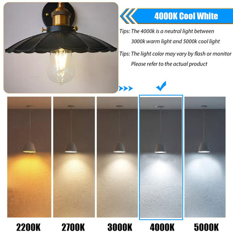 winsaLED E26 base ST58 bulb compatible with most fixtures