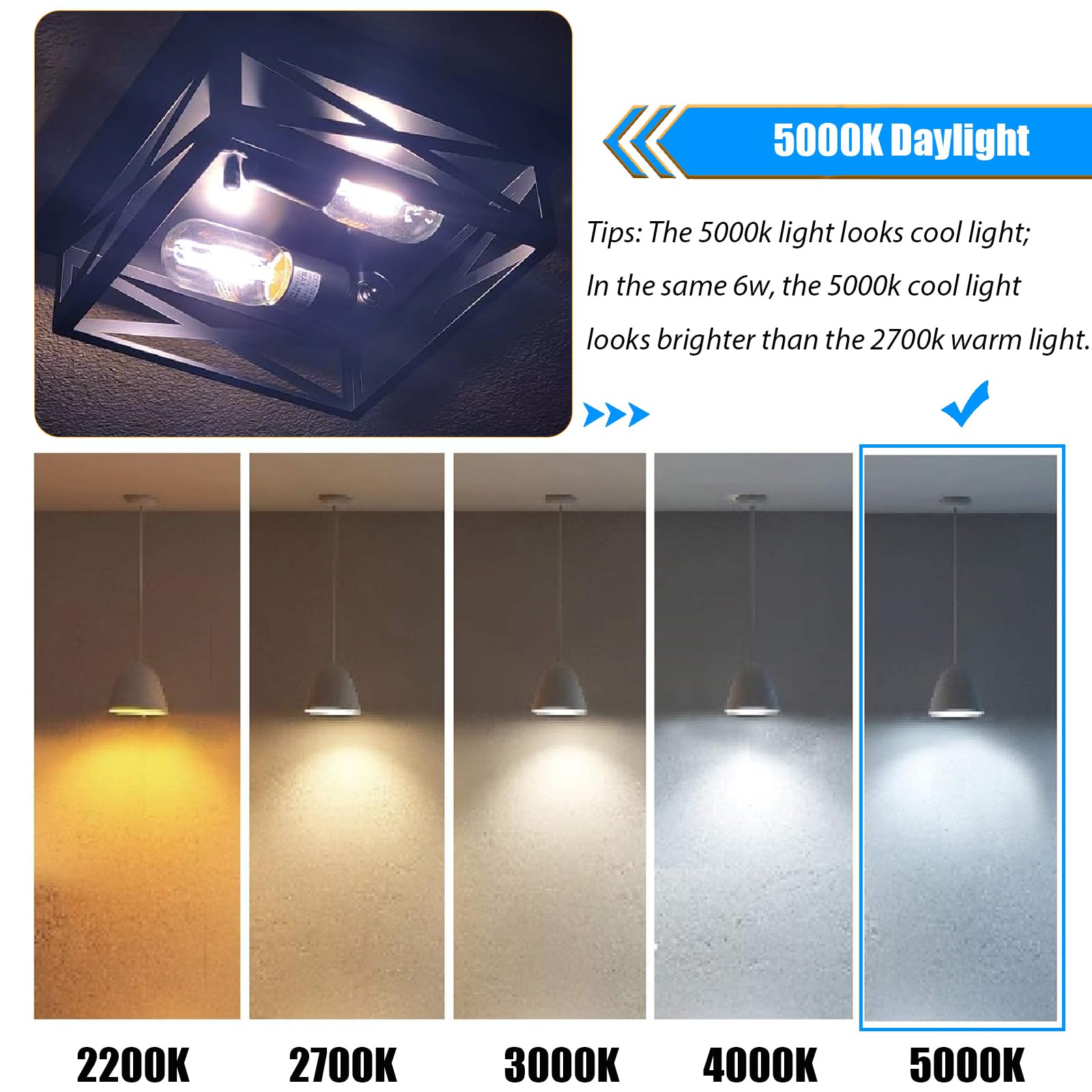 Winsaled T45 5000K daylight glow for crisp task lighting