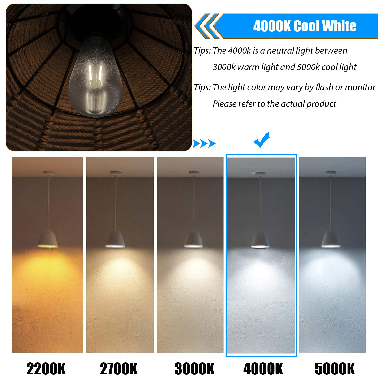WinsaLED vintage glass shade edison-style bulb with clear shade
