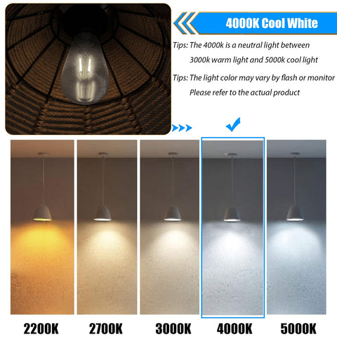 WinsaLED vintage glass shade edison-style bulb with clear shade