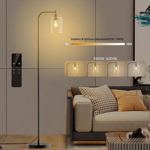 Wio-Mio black floor lamp with remote and foot switch