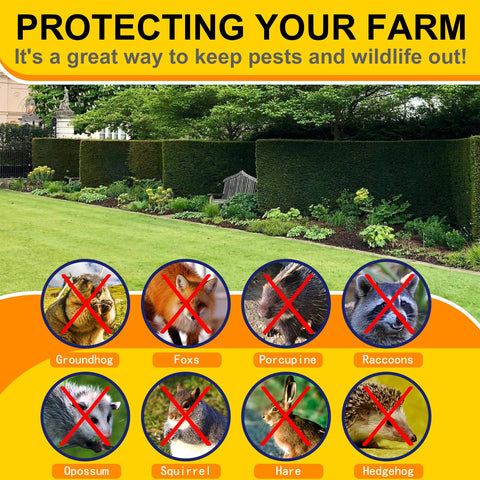 Wirewonders tree guards wire mesh ideal for sapling protection.