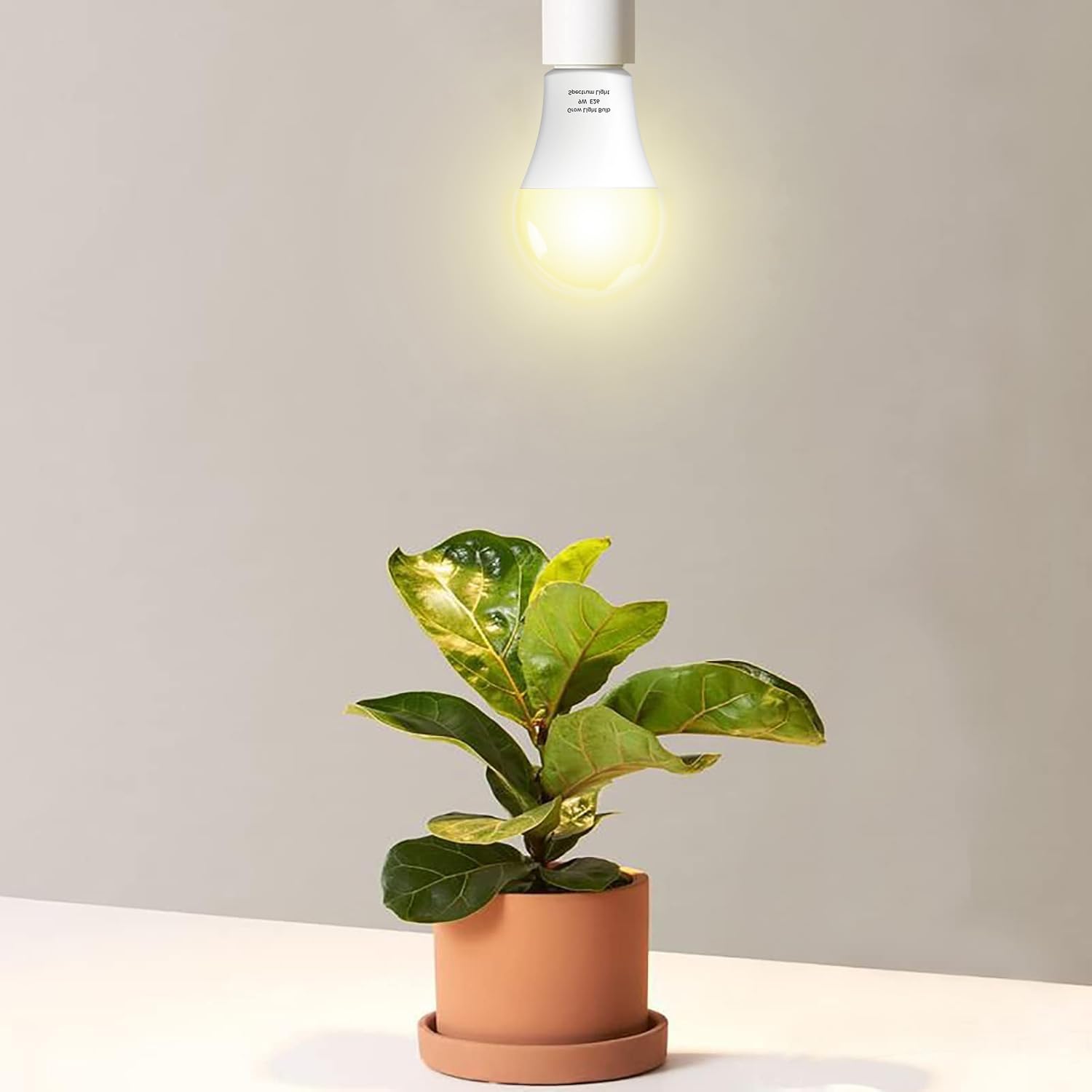 Wiyifada dimmable E26 base allows easy installation and adjustable intensity